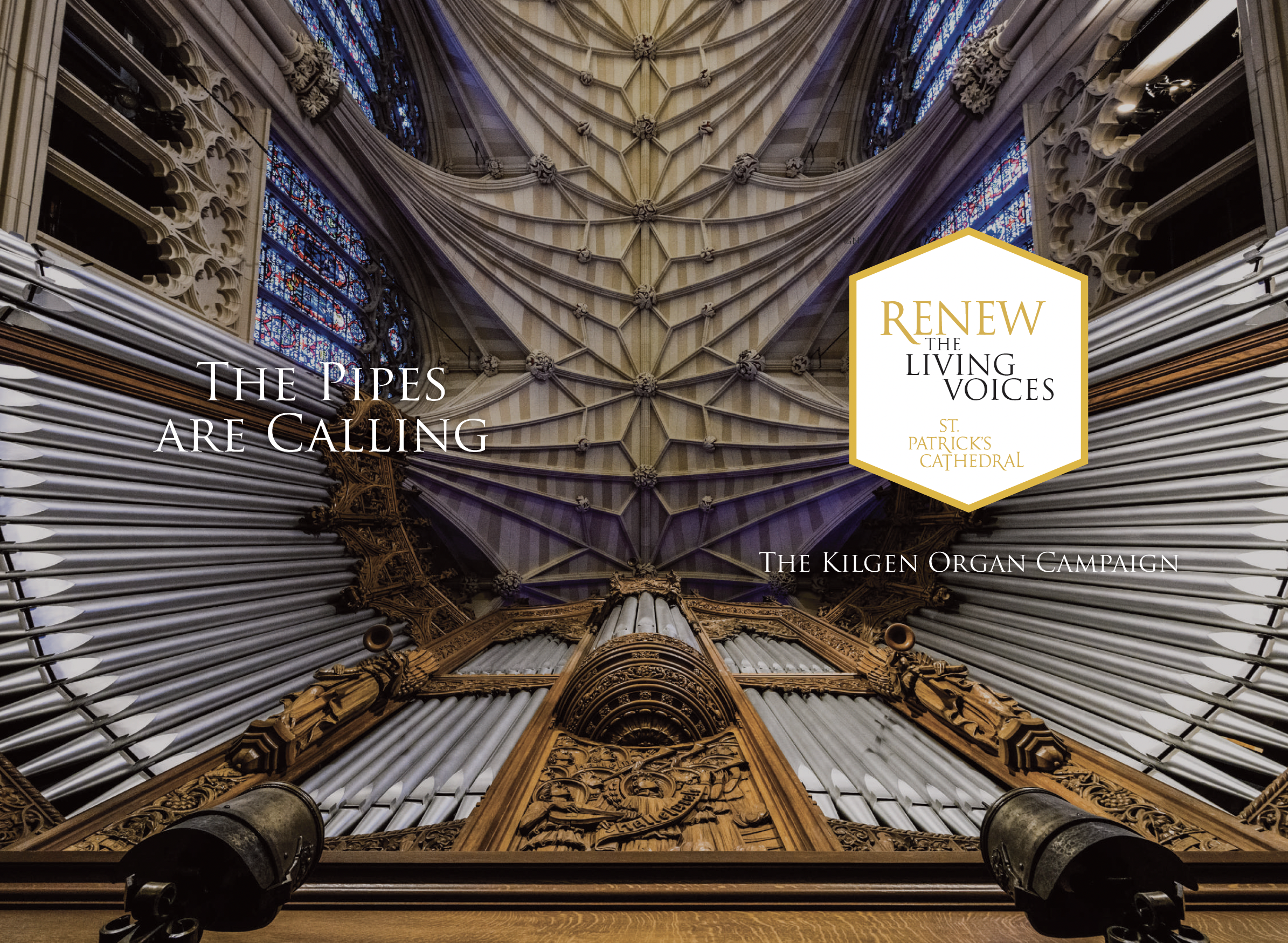 St. Patrick's Cathedral - Kilgen Organ Campaign